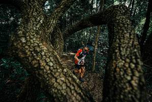 BIB: 
                            <button type="button" onclick="openModal(25665617)" class="btn btn-primary btn-sm float-right btn-popup" data-toggle="modal" data-target=".modal-high-quality">
                        <i class="fas fa-shopping-cart"></i> Add to Cart
                    </button>
                                            <button type="button" onclick="isThisMe(25665617, true)" class="btn btn-success btn-sm float-right btn-popup btn-isme hidden" data-toggle="tooltip" data-placement="bottom" title="นี่คือรูปของคุณใช่ไหม คลิกที่นี่เพื่อเอาเข้าอัลบั้ม">
                        <i class="fas fa-plus"></i> Add to album
                    </button>
                    <button type="button" onclick="isThisMe(25665617, false)" class="btn btn-warning btn-sm float-right btn-popup btn-isnotme hidden">
                        <i class="fas fa-ban"></i> Remove from album
                    </button>